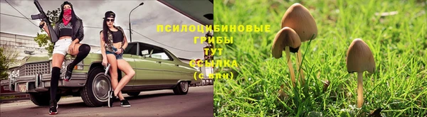 метамфетамин Алексин
