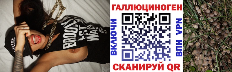 Галлюциногенные грибы Psilocybe Бавлы